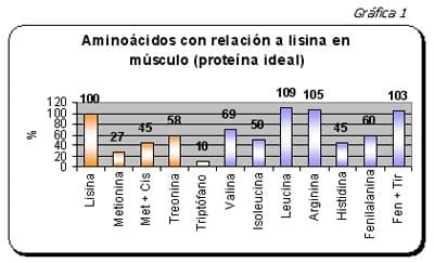 Formulación Moderna para Cerdos Modernos (I) - Image 5