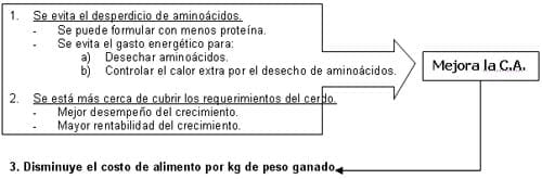 Formulación Moderna para Cerdos Modernos (I) - Image 9