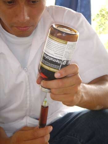 Evaluación del Producto Comercial Hematofos B12 Administrado Vía Oral en Pollos de Engorde - Image 11
