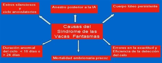 Resincronización del servicio de hembras bovinas inseminadas en el trópico. (Articulo reseña) - Image 1