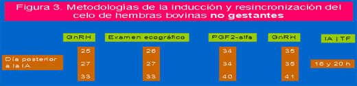 Resincronización del servicio de hembras bovinas inseminadas en el trópico. (Articulo reseña) - Image 3