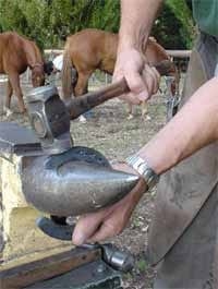Secuencia del herrado de un caballo - Image 22