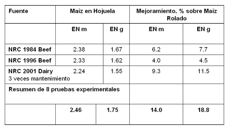El Procesamiento del Grano en Hojuela; Es Rentable para la Producción Intensiva de Bovinos? El mejor grano es el que esta cerca…y cuando lo necesito. - Image 4