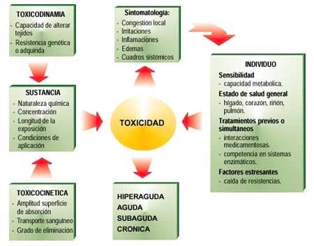 La Seguridad de los Desinfectantes - Image 1
