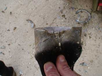 Secuencia de una estabilización - Image 4