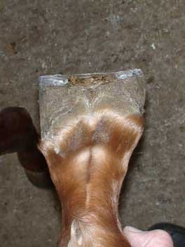 Secuencia de una estabilización - Image 12