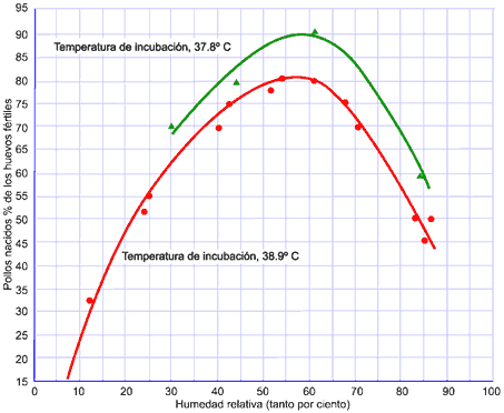 Análisis de control de calidad en incubación de huevos - Image 11