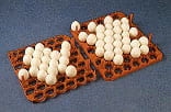 Análisis de control de calidad en incubación de huevos - Image 10