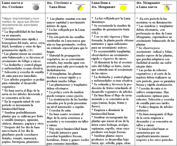 Influencia Lunar - Mito o Realidad - Image 4