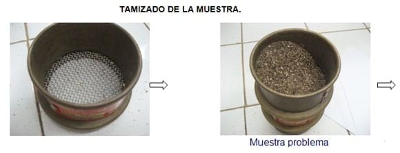 Ingredientes alternos para cerdos. Conocer para decidir su inclusión - Image 13