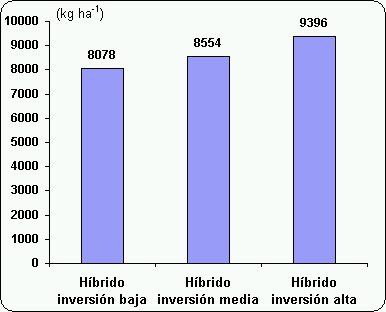 Estrategias de inversión en genética y fertilización para incrementar la rentabilidad del cultivo de maíz. - Image 1