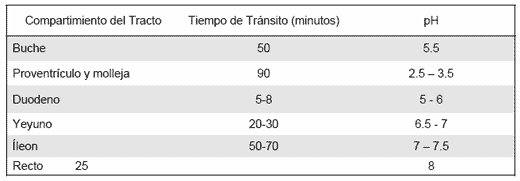 La Salud Intestinal: Clave de la Productividad - El Caso de los Ácidos Orgánicos - Image 2