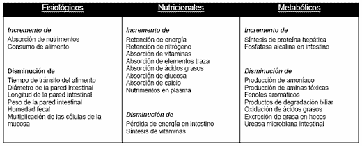 La Salud Intestinal: Clave de la Productividad - El Caso de los Ácidos Orgánicos - Image 4