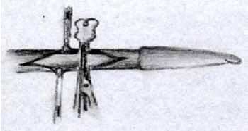 Ajuste de la técnica operatoria del corte del ligamento apical dorsal del pene en toros receladores o detectores de celo - Image 7