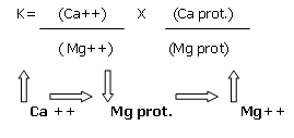 Fisiología del Magnesio 1 - Image 10