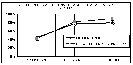 Fisiología del Magnesio 1 - Image 22