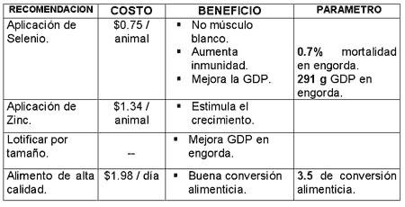 Manejo del rebaño ovino - Image 14
