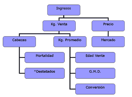 Planificación y Manejo de las Granjas - Image 1