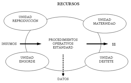 Planificación y Manejo de las Granjas - Image 3