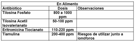 Alternativas en la Prevención y Tratamiento de los Micoplasmas Aviares - Image 1