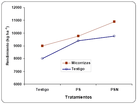 Evaluación de la inoculación con Micorrizas en Maíz bajo diferentes ambientes de Fertilidad. - Image 6