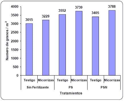Evaluación de la inoculación con Micorrizas en Maíz bajo diferentes ambientes de Fertilidad. - Image 8