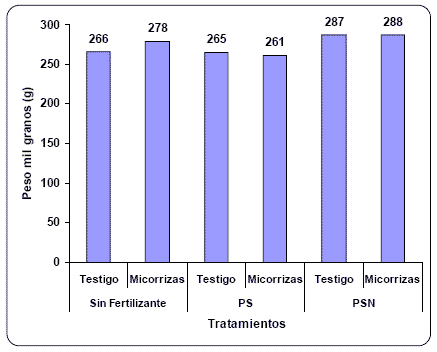 Evaluación de la inoculación con Micorrizas en Maíz bajo diferentes ambientes de Fertilidad. - Image 9