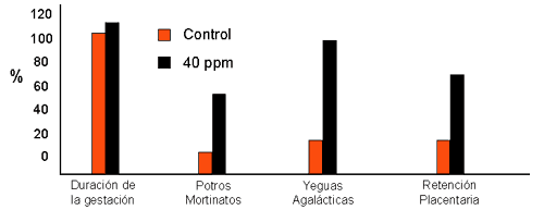 Los Efectos de las Micotoxinas en los Caballos: Lo que conocemos hasta ahora - Image 14