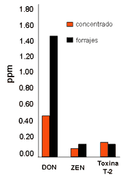 Los Efectos de las Micotoxinas en los Caballos: Lo que conocemos hasta ahora - Image 12