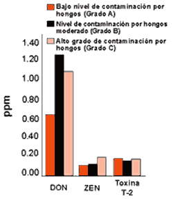 Los Efectos de las Micotoxinas en los Caballos: Lo que conocemos hasta ahora - Image 13