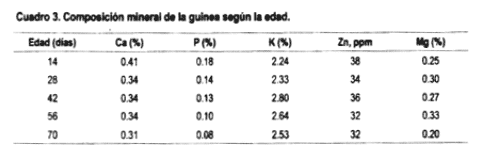 Los minerales en la reproducción bovina - Image 4