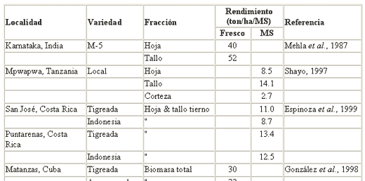 Morera: un Forraje Excepcional Disponible Mundialmente. - Image 7