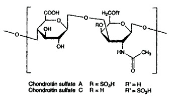 Nutracéuticos: su papel emergente en la nutrición equina - Image 1