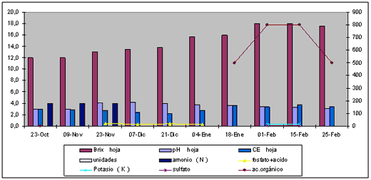 Manejo eficiente en nutricion vegetal - Image 1