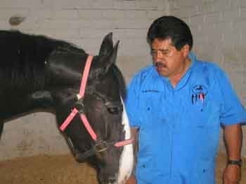 El oído del caballo - Image 1