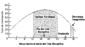 Maximizando la concepción en vacas lecheras - Image 3