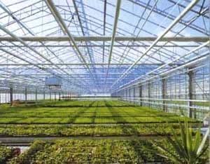 Ozonoterapia una opción para el sector agropecuario - Image 2