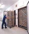Ozonoterapia una opción para el sector agropecuario - Image 7