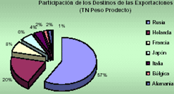 Producción de equinos para la comercialización de carnes y sus derivados - Image 2