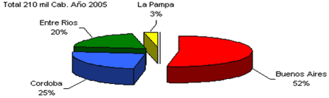 Producción de equinos para la comercialización de carnes y sus derivados - Image 5