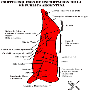 Producción de equinos para la comercialización de carnes y sus derivados - Image 9