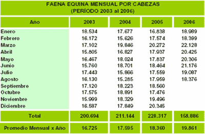Producción de equinos para la comercialización de carnes y sus derivados - Image 10