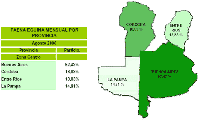 Producción de equinos para la comercialización de carnes y sus derivados - Image 13