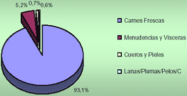 Producción de equinos para la comercialización de carnes y sus derivados - Image 15