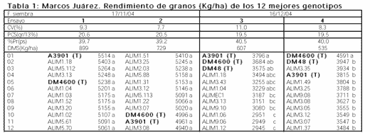 Evaluación del potencial genético de rendimiento de líneas experimentales de soja para consumo humano - Image 1