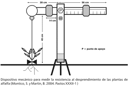 Resistencia al desprendimiento de plántulas de alfalfa en implantación - Image 1