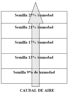 Secado de Semillas Forrajeras - Image 2