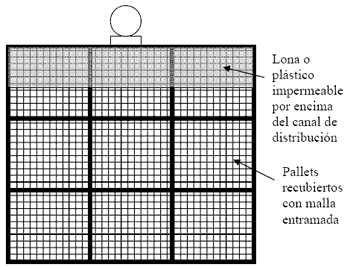 Secado de Semillas Forrajeras - Image 4