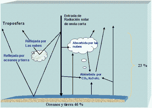 Secuestro de Carbono en el Suelo - Image 1