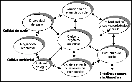Secuestro de Carbono en el Suelo - Image 2